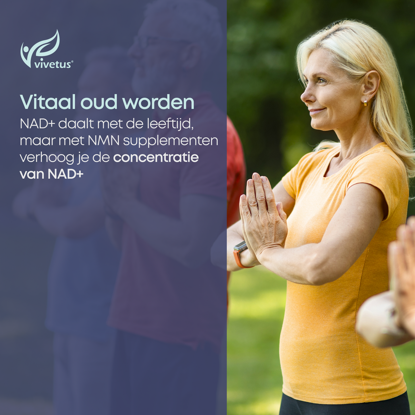 Vivetus® NMN poeder