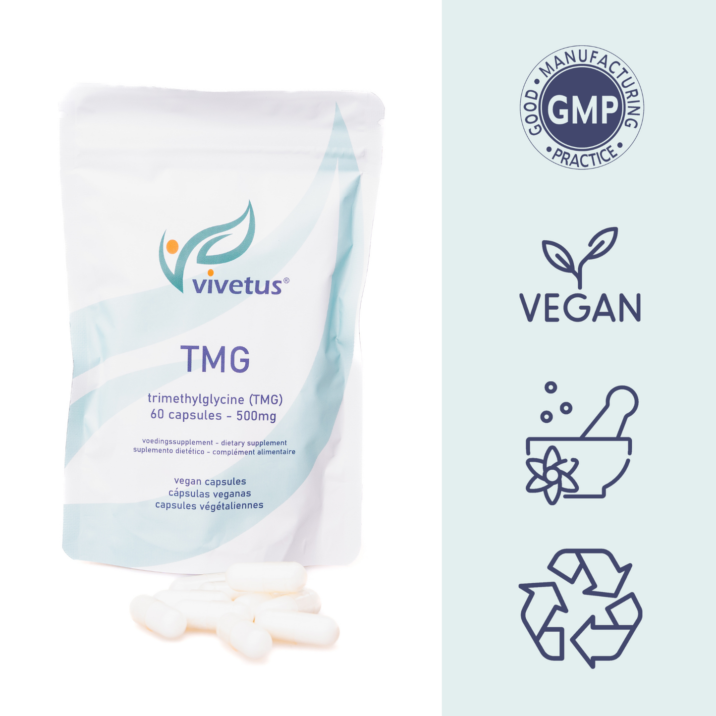 🧠 Pack Cerveau et Concentration